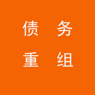锦屏个人债务重组优化